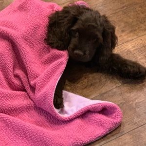 Meet your Posher, Tracy